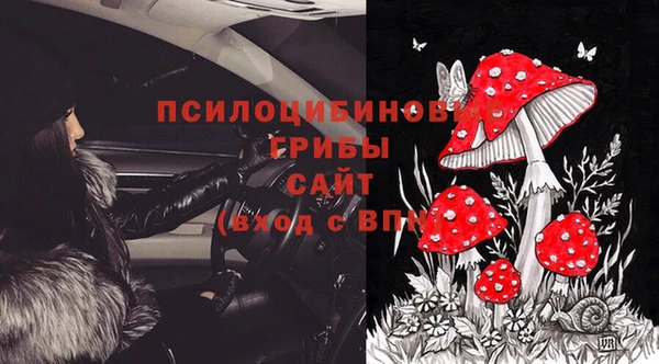 дживик Армянск
