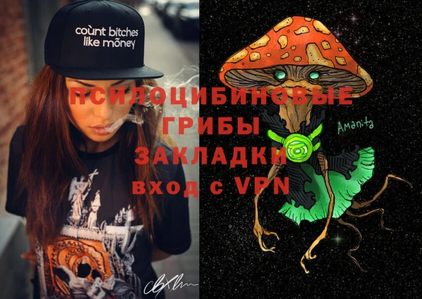 дживик Армянск