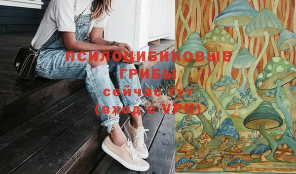 прущий лед Аркадак