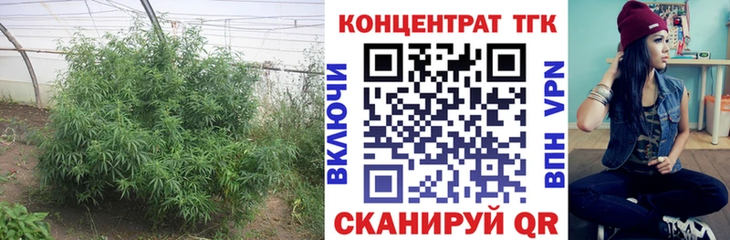 Дистиллят ТГК концентрат  маркетплейс телеграм  Пучеж  купить наркотик 